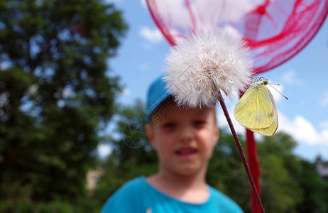 男孩用蝴蝶网捕到蝴蝶夏天的乐趣夏天的概念图片