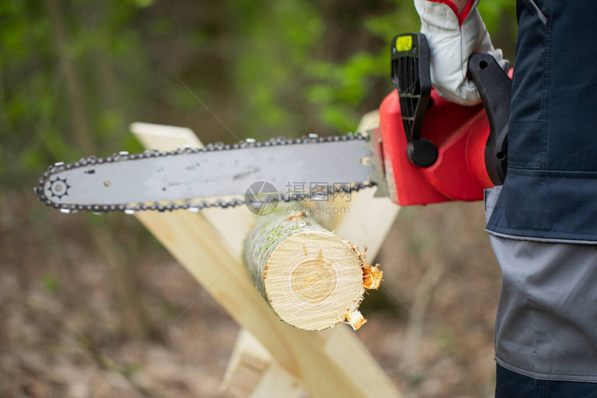 戴着防护手套的森林工人用电锯树干为越冬概念砍伐树木和收获柴火木屑飞到两边用锯子辛图片