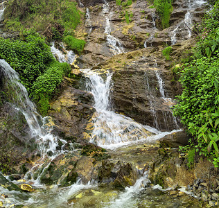 丛林热带雨林中的景观瀑布级联图片