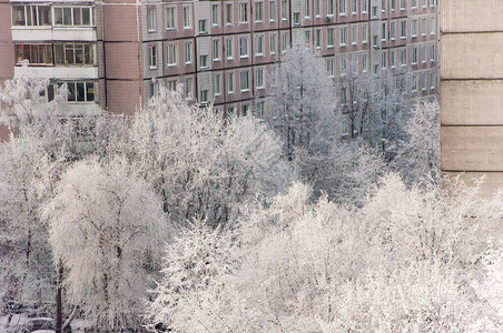 冬天从房子的窗户看在树下的雪上图片