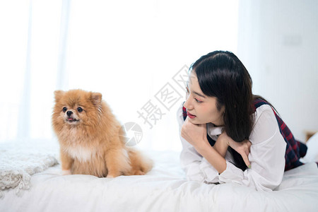 女孩正在调和一只粗鲁的老狗波美拉尼亚狗Pomerania图片