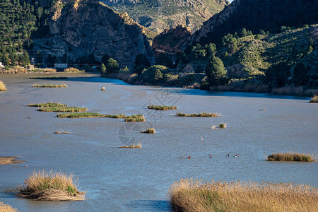 利纳雷斯德莫拉Ojos水库也称为AzuddeOjos背景