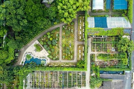 古代传统花园的空中飞图片