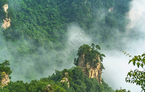 湖南省伍林源Wwlingyuan著名旅游景点张家江公园天津山的图片