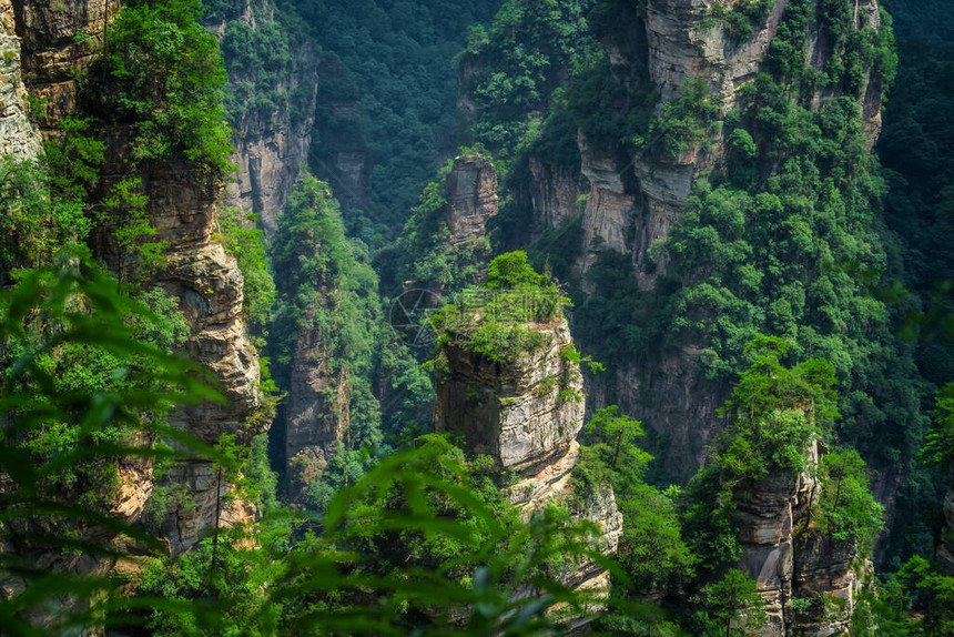 张家吉阿凡山自然公园张家杰图片