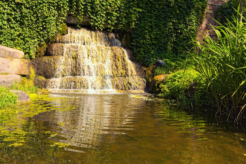 乌克兰BilaTserkva亚历山大植物园古遗址附近小瀑布的风景照片景观和自然的概念夏日阳图片