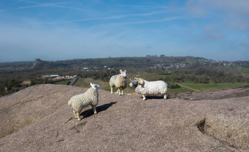 3只玩具羊在英国德比郡山峰图片