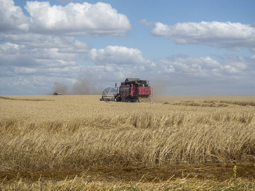 夏季田间收割的红色收割机用于在田间收集成熟小麦的联合收图片