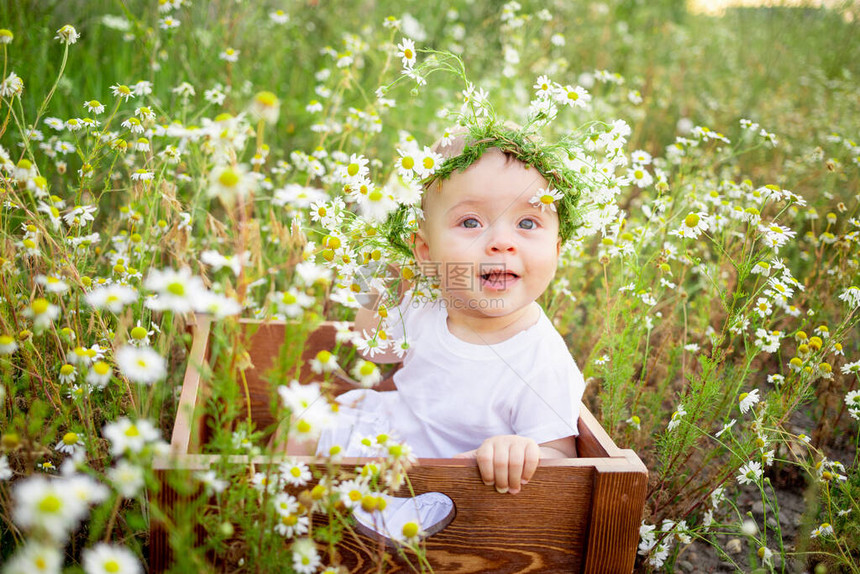 一个7月大的女婴的肖像坐在甘菊田上穿着白裙子的花圈里在新鲜空气图片