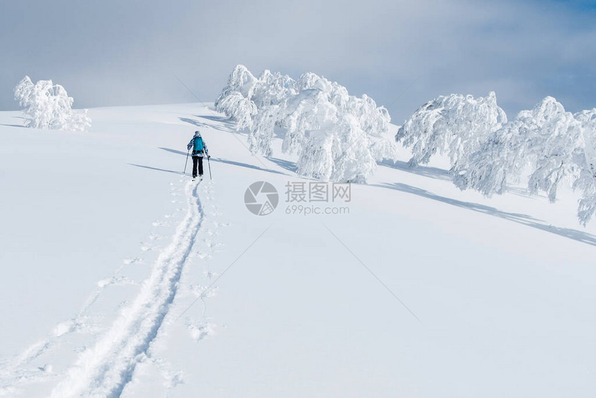 无法辨认的活跃女游客在新雪谷未受破坏的雪山上滑雪图片