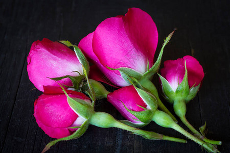 五朵美丽的粉红色玫瑰在黑图片