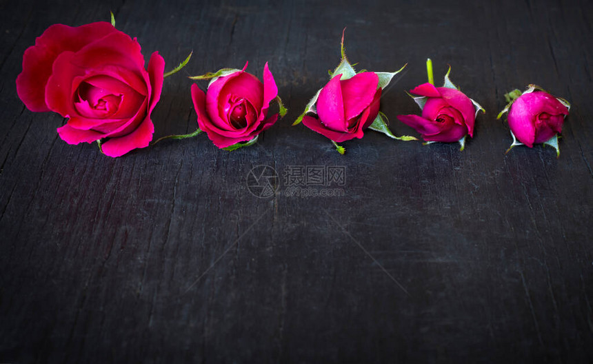 五朵美丽的玫瑰花在黑暗的木质背景上带一图片