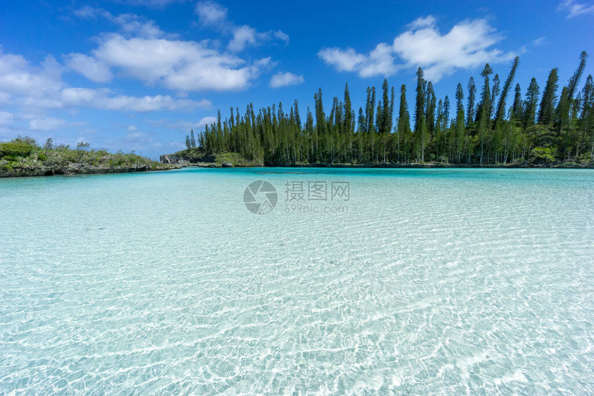 新喀里多尼亚松树岛奥罗湾自然游泳池的美丽海景半透明水是赤道水图片