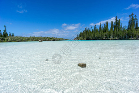 新喀里多尼亚松树岛奥罗湾自然游泳池的美丽海景图片
