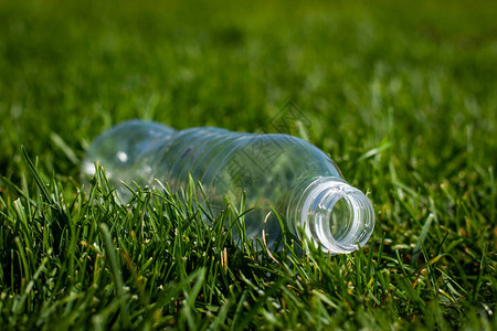 塑料瓶躺在森林地上的草地上图片