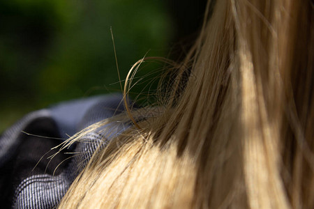 女孩的头发和阳光图片
