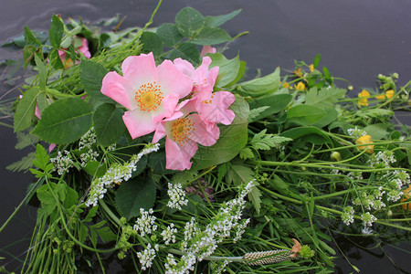 在伊凡娜库帕拉之夜河边的粉红玫瑰黄蝴蝶和野图片