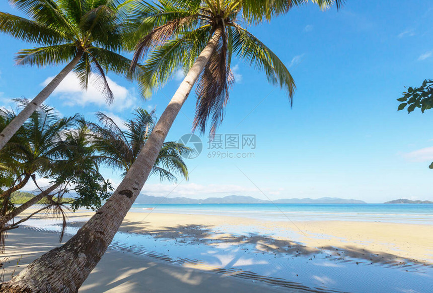 热带海滩上美丽的夏日风景图片