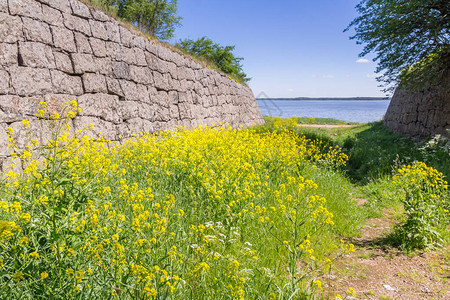 夏季Trongsund堡垒的石制土墙图片