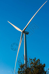 在蓝天背景的风轮机能量转换器当地生态友好型风电场电力农业背景绿色生态图片
