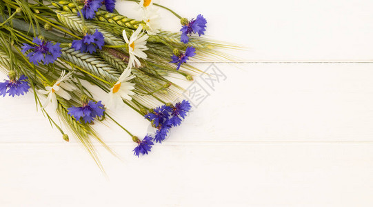 白色木形背景的扇片玉米花和小菊顶部视图复制空间图片