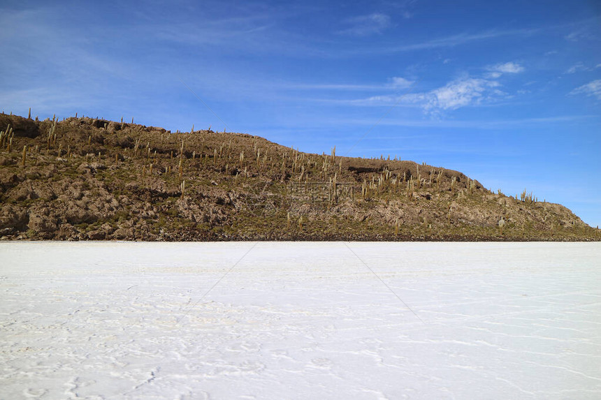 UyuniSaltFlatsUyuni盐板上的落石植物图片