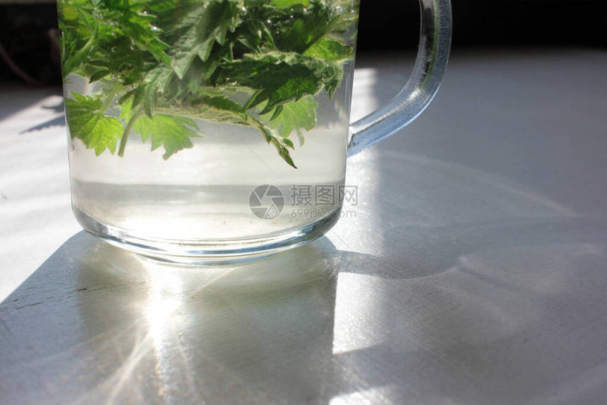 白底玻璃杯中刺青的织物植叶根所制成的新鲜草药茶增强免疫系统和抗击流感的自然方法哈什光复制空图片