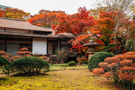 日本东京KoishikawaKorakuen花园的日本传统房屋图片