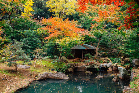 在日本东京Rikugien花图片