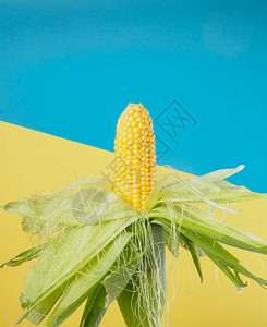 一个甜的玉米椰子背景图片