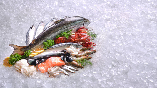 冰上新鲜鱼和海产图片