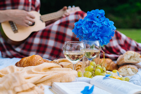 穿着红色格子裙和帽子的女孩坐在白色针织野餐毯上弹着尤克里和喝酒图片