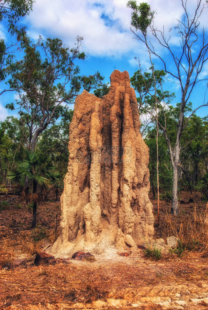 澳北大利亚Kakadu公园的古迹图片