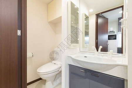 公寓内一个小型现代淋浴间内的洗涤盆和图片