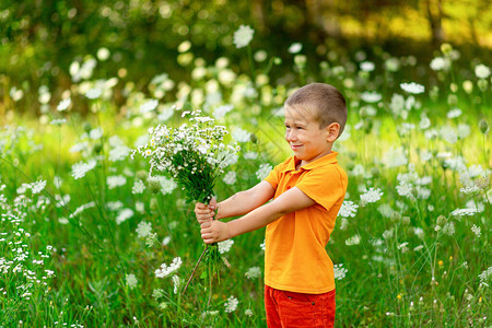 在田野上快乐的男孩花朵盛着一束鲜花孩子图片