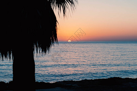 夕阳在海后落下前景是棕榈树和海滩图片