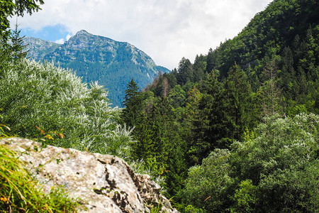 斯洛文尼亚山区JulianAlps和Trigl图片