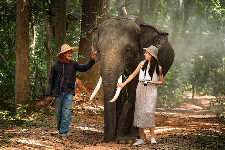 亚洲女人与大象和夫在森林里散步旅游亚洲妇女在大图片