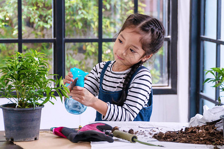 快乐的6岁小女孩带着工具拿着雾气的喷雾瓶给植物浇水图片