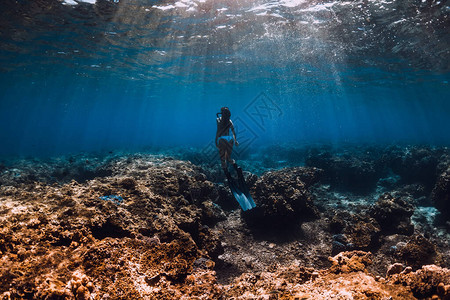 水下女子自由潜水滑翔在大洋中图片