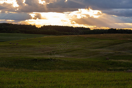 在温暖的夏夜期间的农田图片