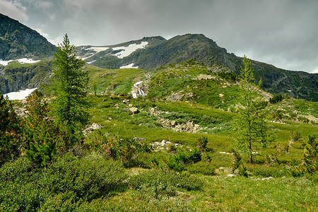 山坡与山峰上的雪视图山顶多云的天空生长在山坡上的针图片