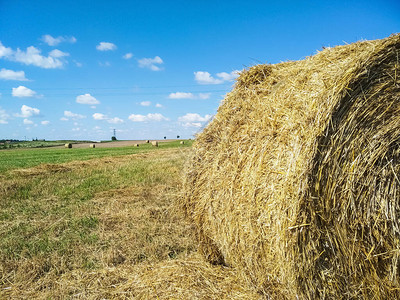 成捆的干草躺在球场上干草捆空白的农村生活草图片