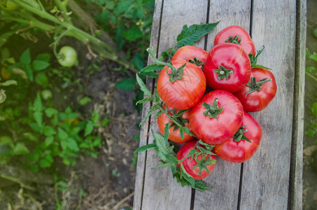 木桌上的西红柿堆在木桌上的新鲜西红柿天然产品概念图片