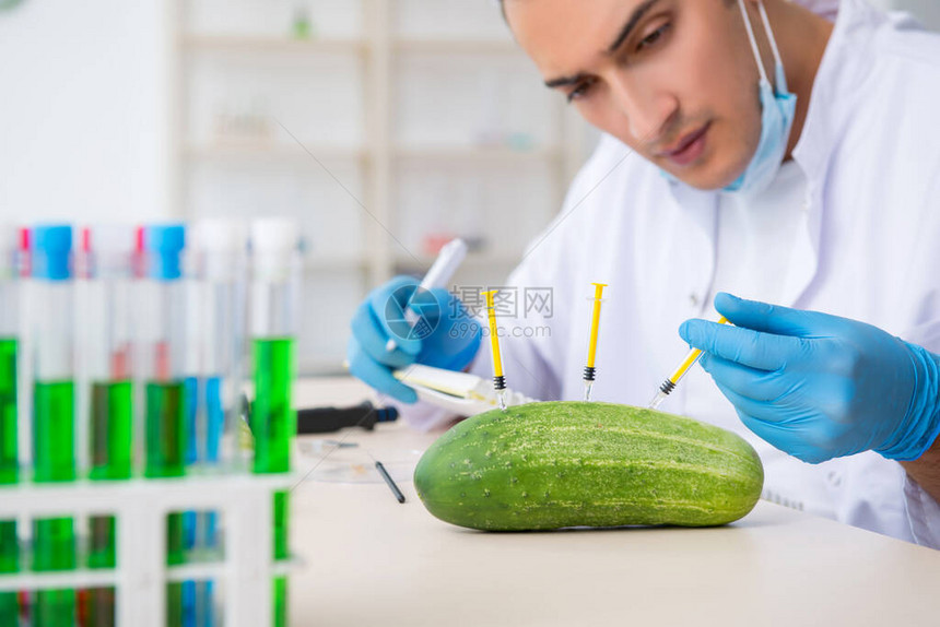 雄营养专家在实验室检测蔬图片