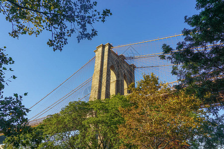 纽约布鲁克林从布鲁克林大桥公园看图片