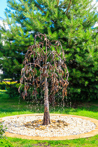 花园中的树形锻铁喷泉图片