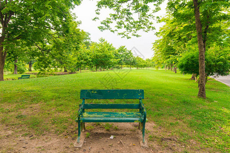公园在公共树林公园的长椅上图片