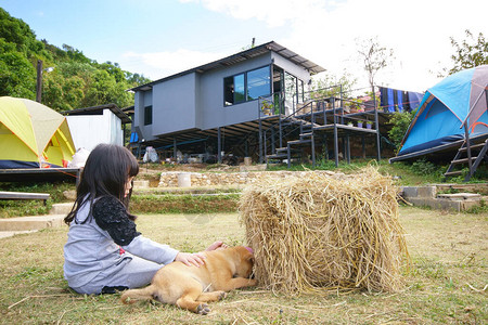 亚洲儿童快乐或小女孩在露营地或绿草坪上玩狗宠物图片