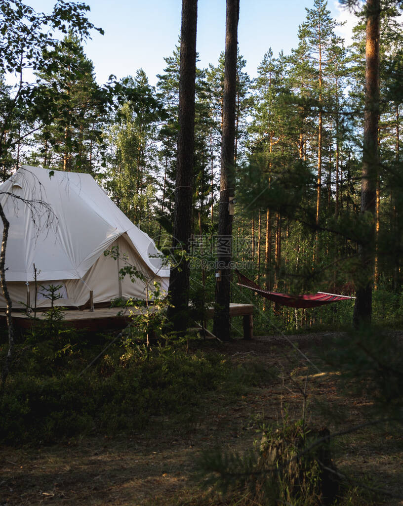 森林里的豪华帐篷木头上的白色米大帐篷明亮的红色五颜六色的吊床在树之间伸展在森林里的日落光舒适的冒险活动情图片
